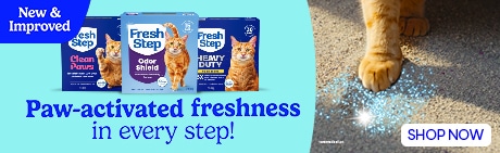  Keep your home smelling fresh with Fresh Step cat litter. Shop now!